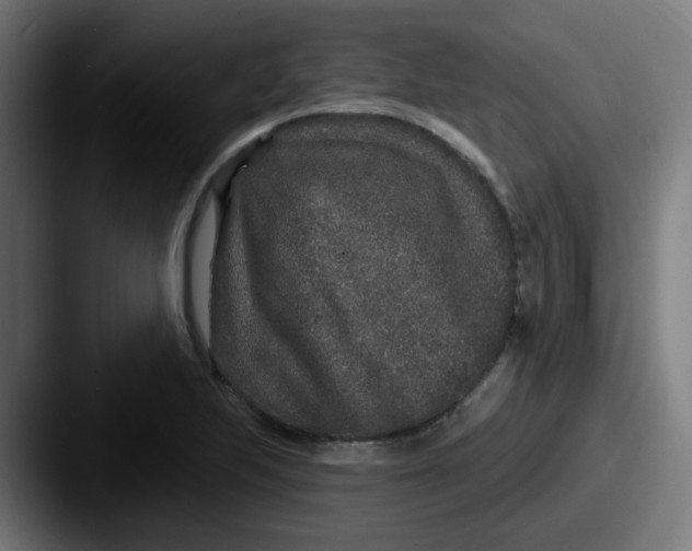 X0000087571223200705181137