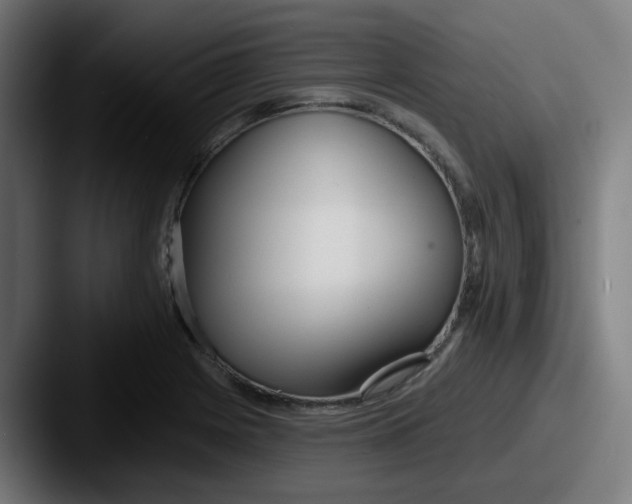 X0000087571225200705181137