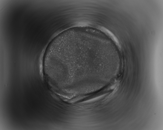 X0000087571226200705181137