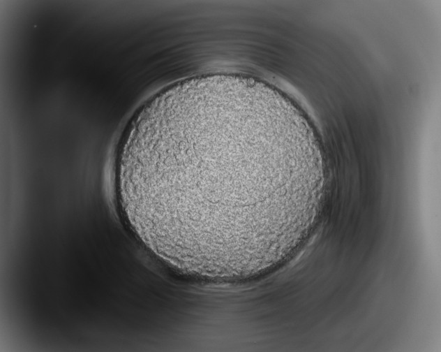 X0000087571227200705181137