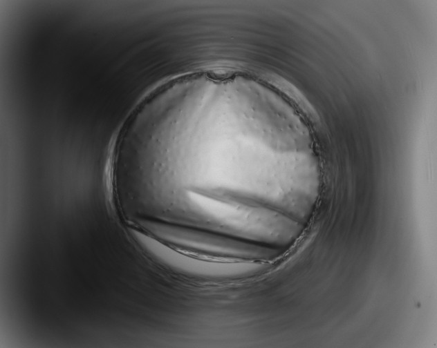 X0000087571228200705181137