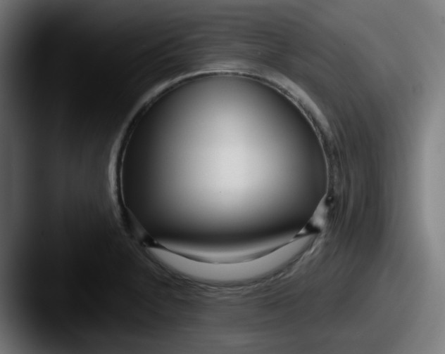 X0000087571230200705181137