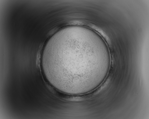 X0000087571233200705181137