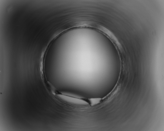 X0000087571234200705181137