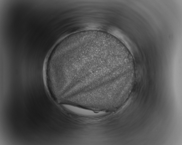 X0000087571235200705181137