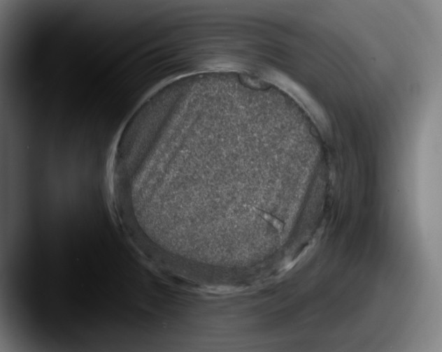 X0000087571236200705181137