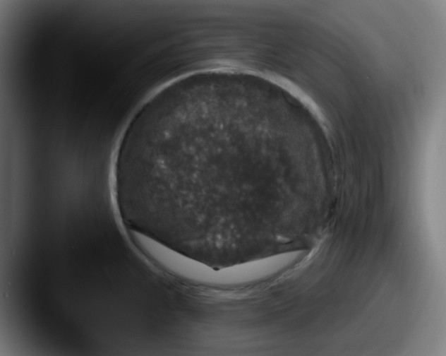 X0000087571239200705181137