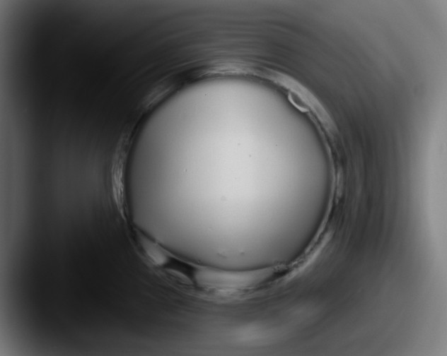 X0000087571241200705181137