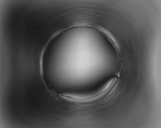 X0000087571242200705181137