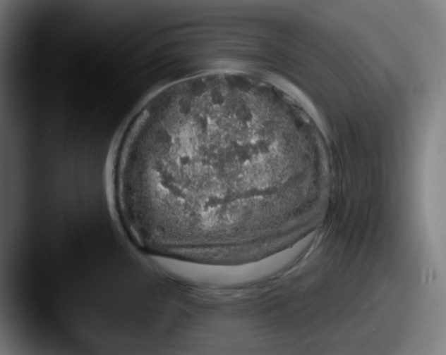 X0000087571243200705181137