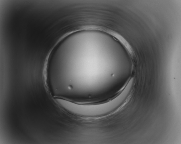 X0000087571244200705181137