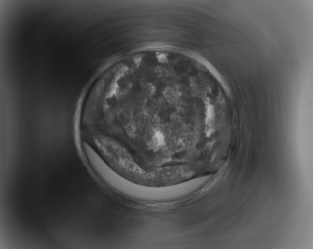 X0000087571245200705181137