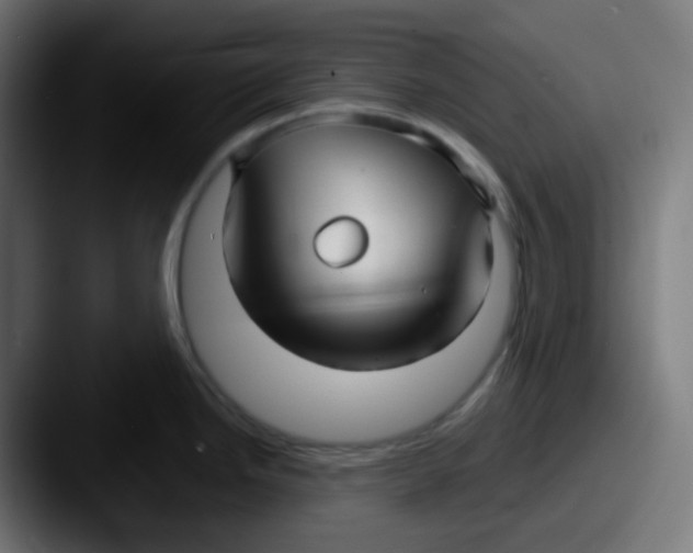 X0000087571246200705181137