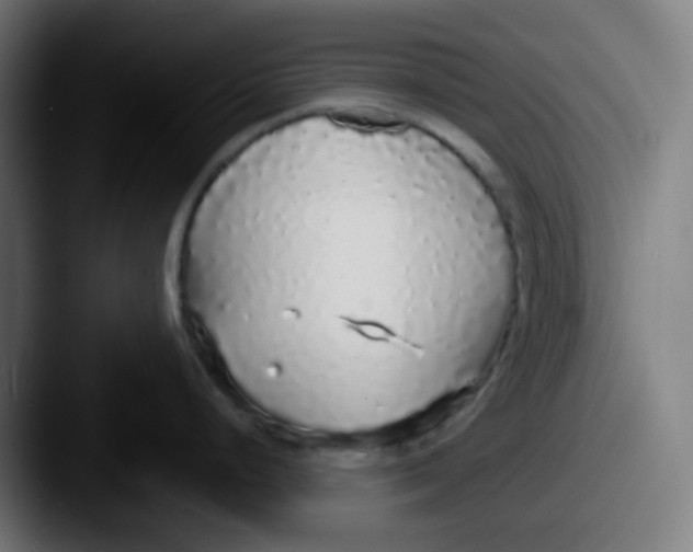 X0000087571248200705181137