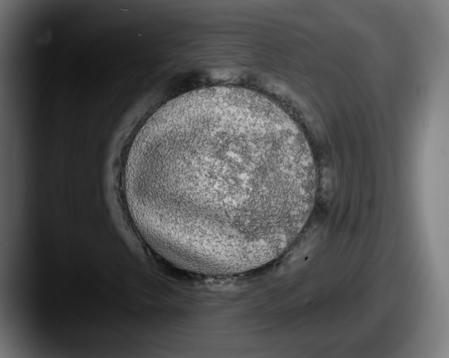 X0000087571249200705181136