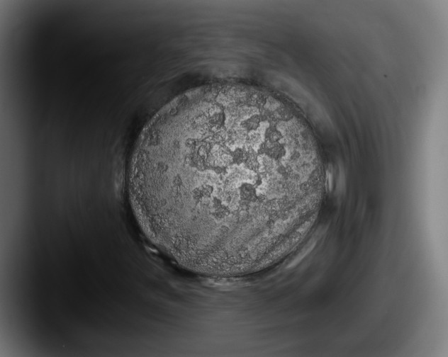 X0000087571251200705181136