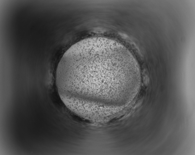 X0000087571253200705181136