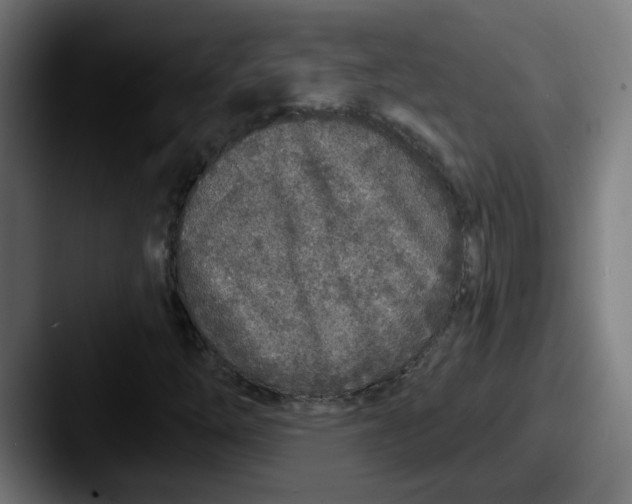 X0000087571254200705181136