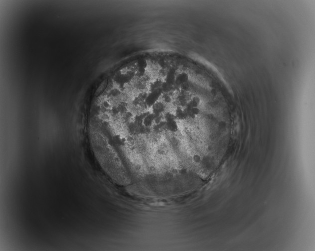 X0000087571255200705181136