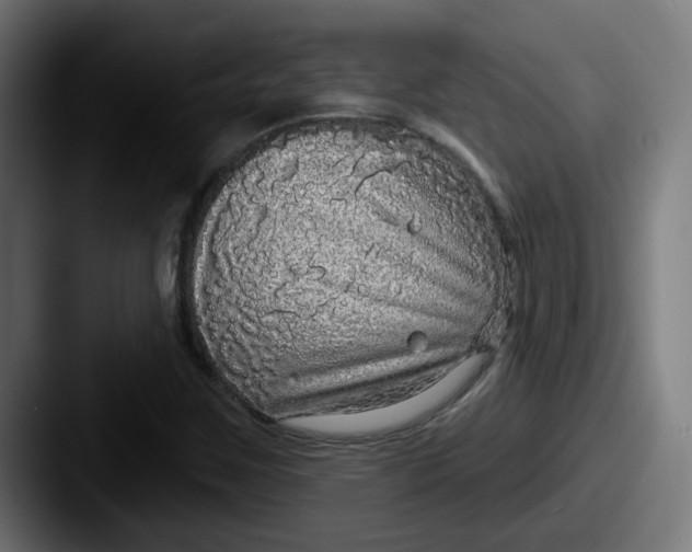 X0000087571259200705181136