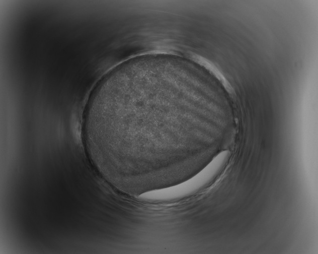 X0000087571260200705181136