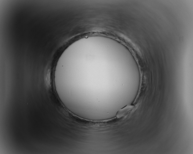 X0000087571262200705181136