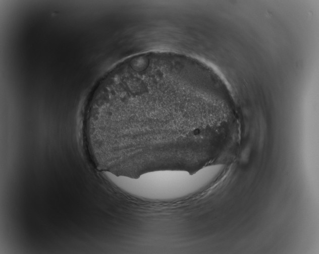 X0000087571263200705181136