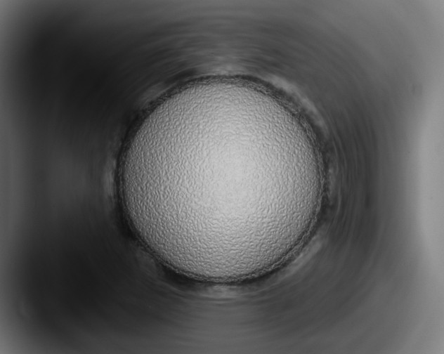 X0000087571265200705181136