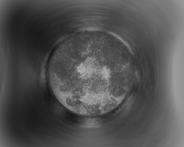 X0000087571266200705181136