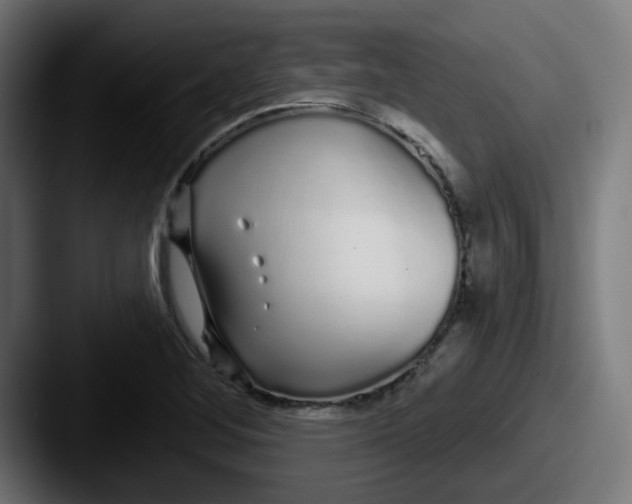 X0000087571268200705181136