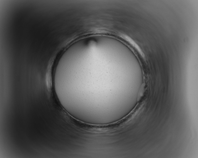 X0000087571269200705181136