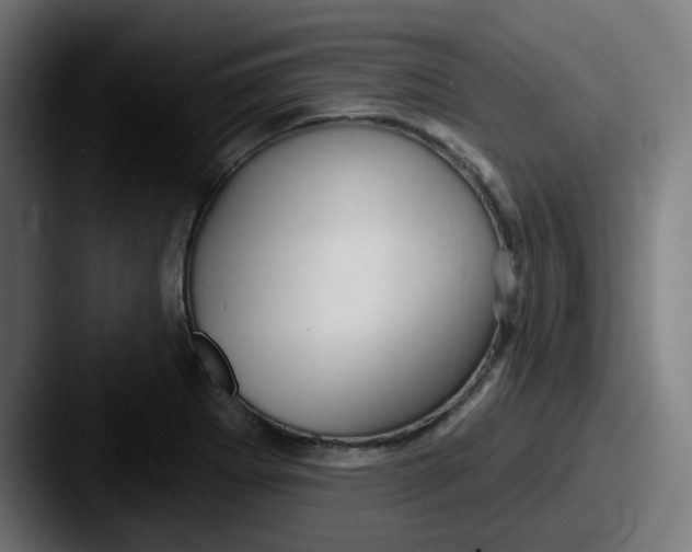 X0000087571273200705181136