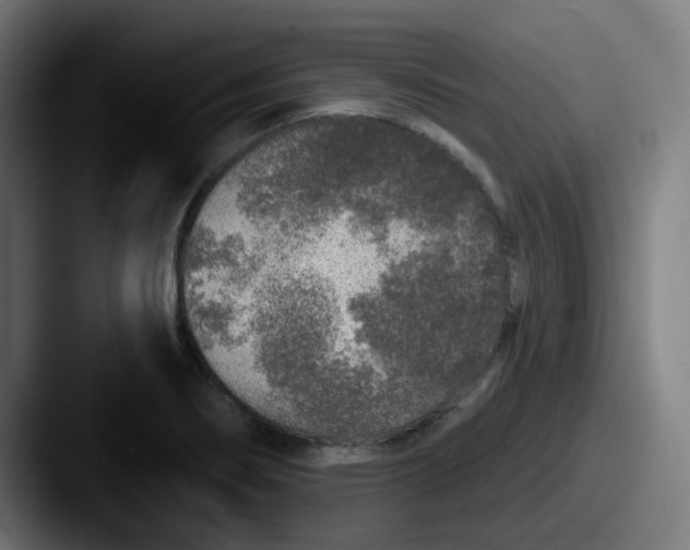 X0000087571274200705181136