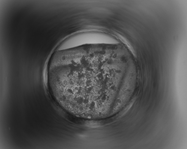 X0000087571275200705181136