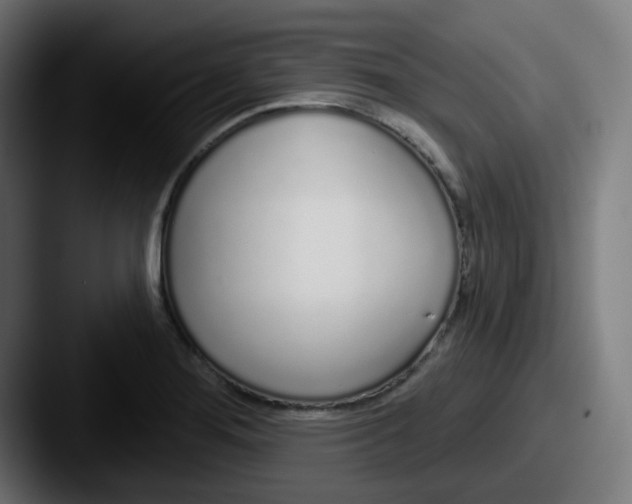 X0000087571276200705181136