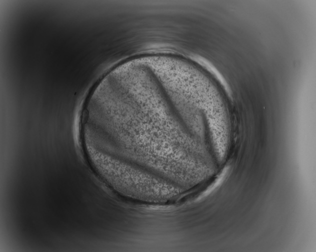 X0000087571277200705181136