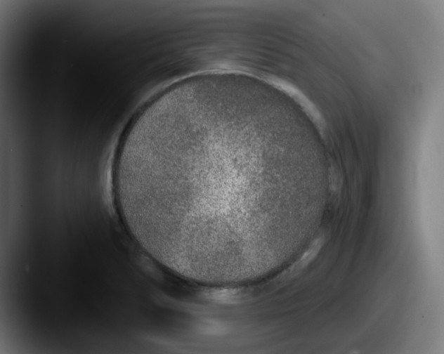 X0000087571278200705181136