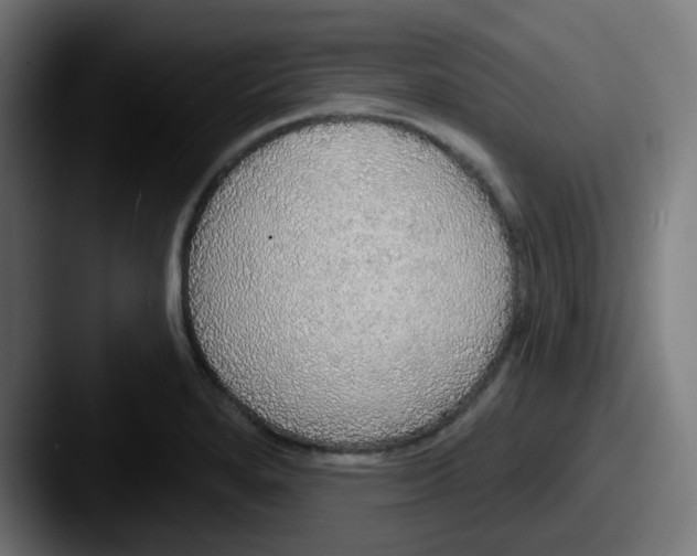 X0000087571280200705181136