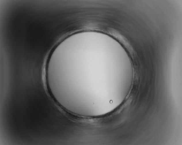 X0000087571286200705181136