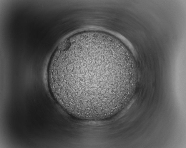 X0000087571287200705181136