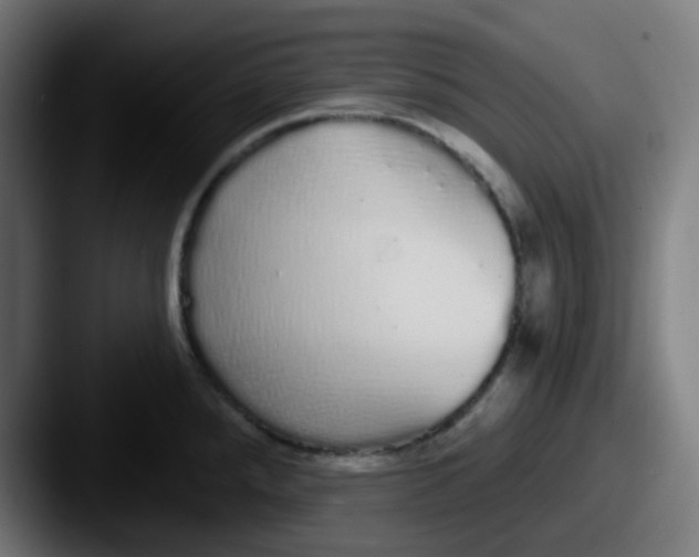 X0000087571288200705181136