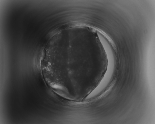 X0000087571289200705181136