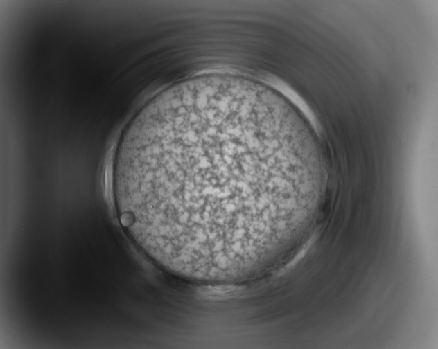 X0000087571290200705181136