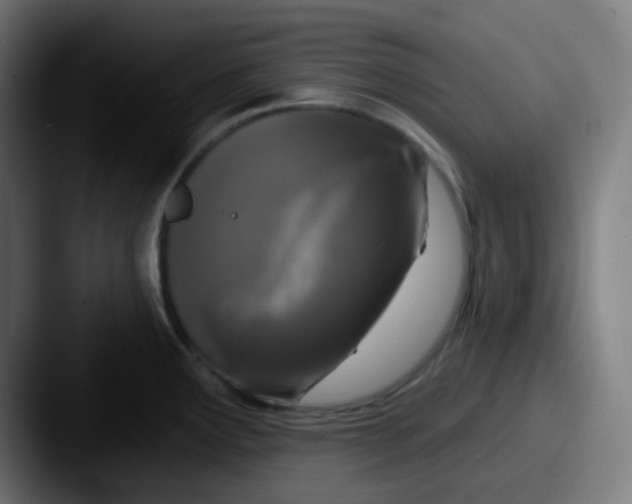 X0000087571291200705181136