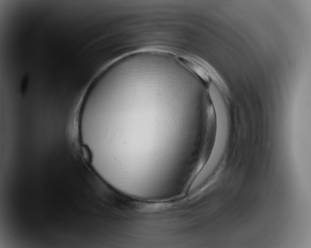 X0000087571292200705181136