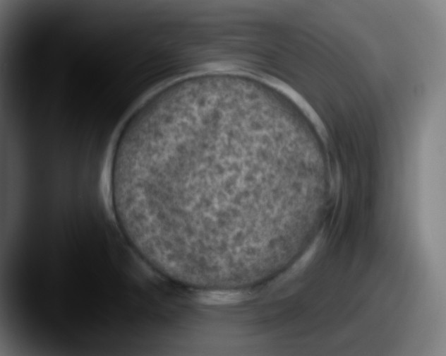 X0000087571294200705181136