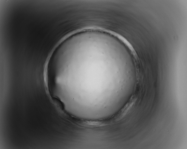 X0000087571295200705181136