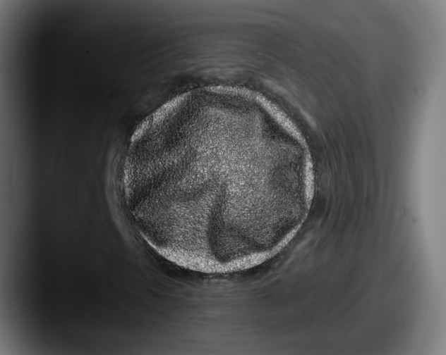 X0000087571297200705181135