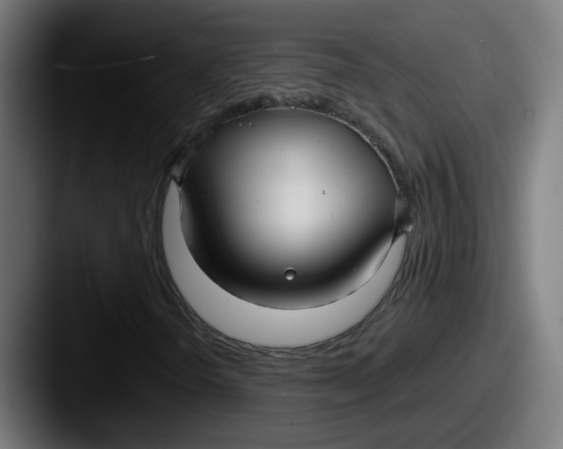 X0000087571298200705181135