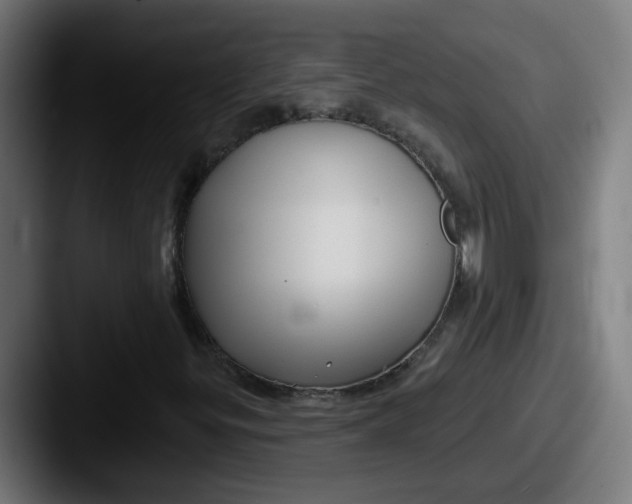 X0000087571299200705181135